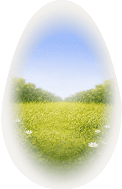 Garden egg